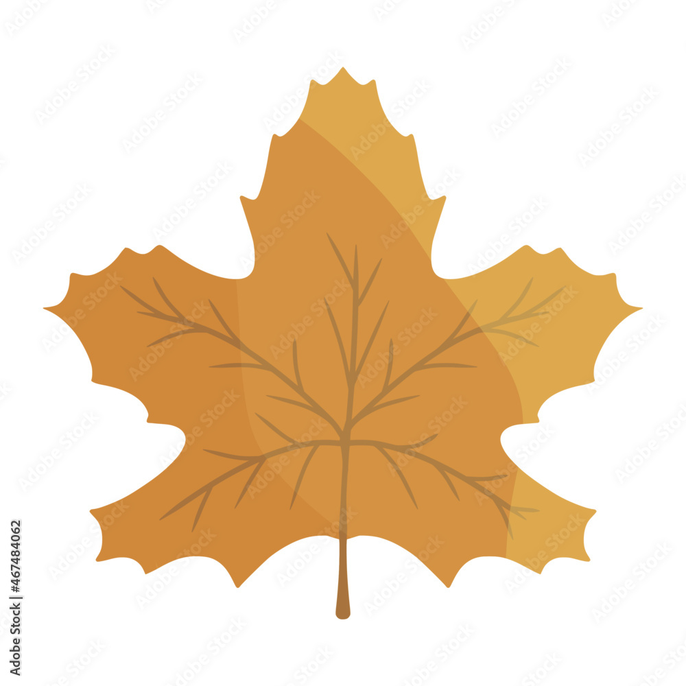 Obraz premium maple leaf for thanksgiving color illustration