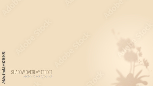 Minimalistic beige background for product presentation. Shadow of plant on wall. Template for presentation or poster.