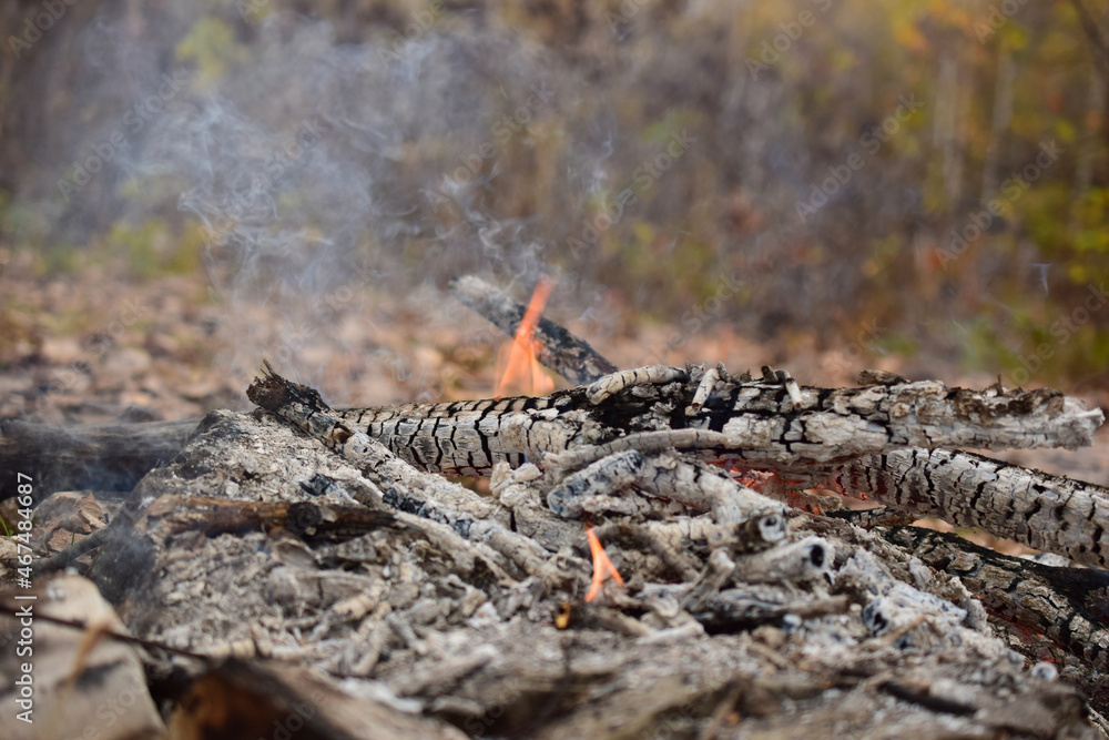 Campfire. Coals and ashes of a dying fire. Campfire. Coals and ashes of a dying fire.
