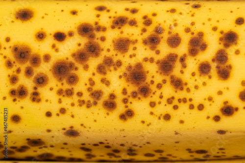 Close up of bruised banana fruit peels