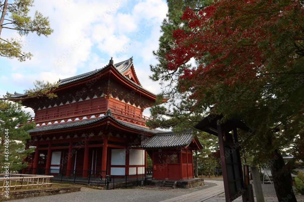A Japanese temple in Kyoto　日本の京都にある寺 :
San-mon Gate in the precincts of Myoshin-ji Temple 妙心寺の境内にある山門