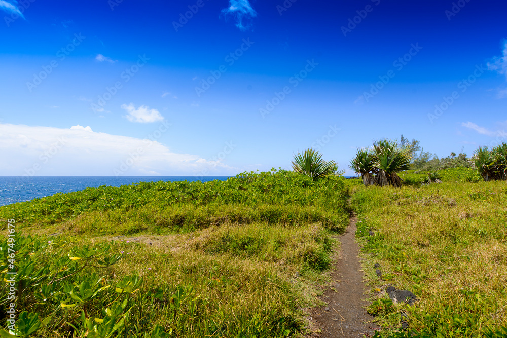 Path close to the sea, Reunion Island Path close to the sea, Reunion Island