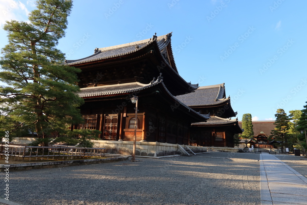 A Japanese temple in Kyoto　日本の京都にある寺 : Butsu-den and Hatto Zen Lecture Hall and Daihojo Abbots House in the precincts of Myoshin-ji Temple 妙心寺の境内にある仏殿と法堂と大方丈
