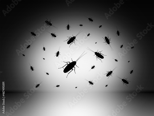 Illustration of a cockroach hiding in the shadowy background of the room wall and the gradient floor in black and white and gray in the studio room Empty gradient studio room