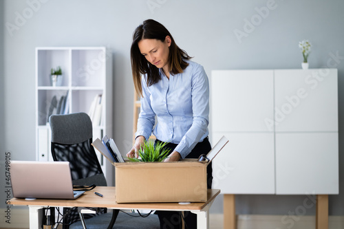Photos Job Quit. Employee Packing Cardboard Box