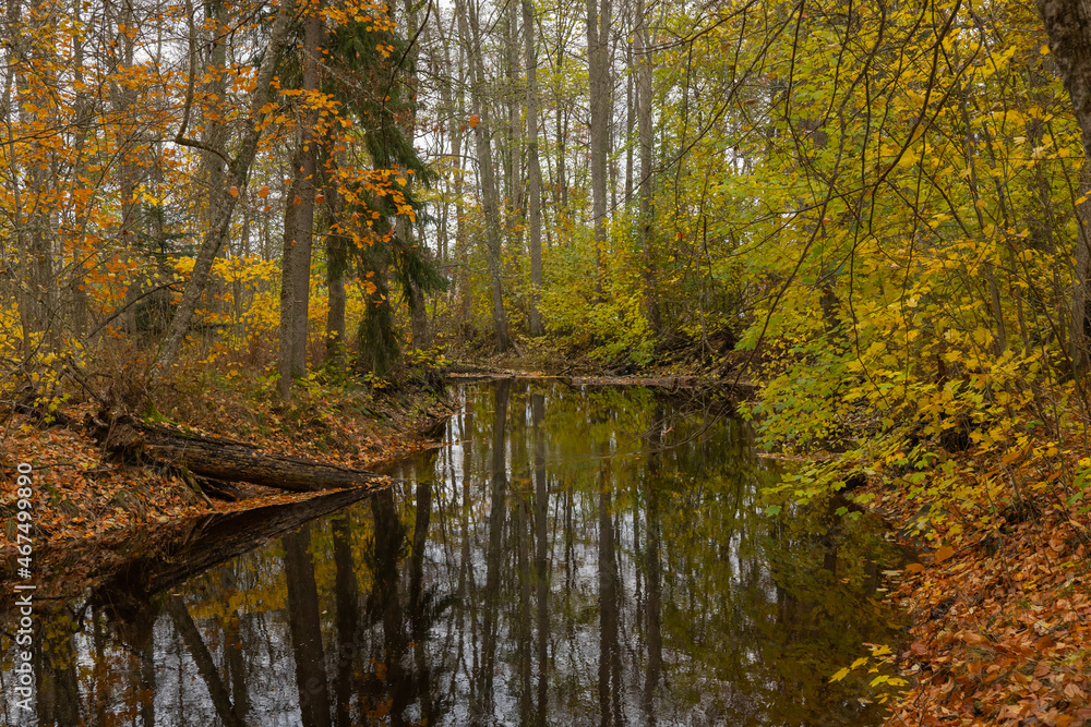 Scenic view of a river in autumn. Farnebofjarden national park in north of Sweden. Scenic view of a river in autumn. Farnebofjarden national park in north of Sweden.