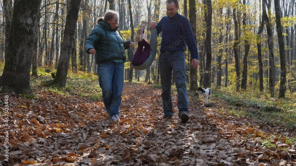 A man and a woman walk through the leaves in an autumn forest, holding hands with a child. A girl jumps and does a back flip while holding hands. Father mother and daughter on a walk in the park A man and a woman walk through the leaves in an autumn forest, holding hands with a child. A girl jumps and does a back flip while holding hands. Father mother and daughter on a walk in the park