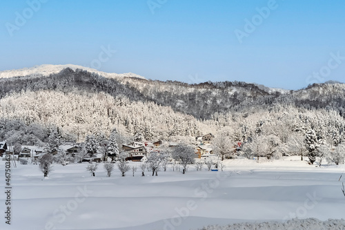 冬景色【長野県】 photo