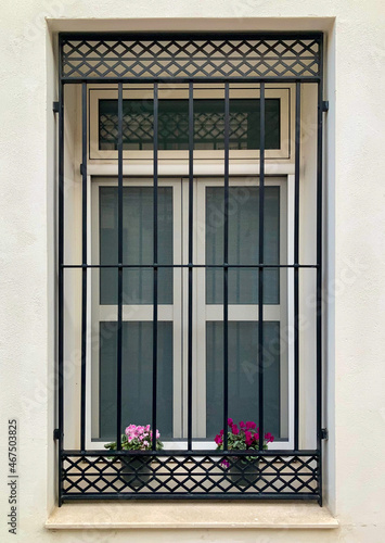 window with grill and flower pots
