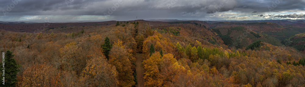 The Palatinate Forest in Germany as seen from the Luitpold Tower.
