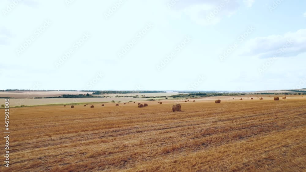Aerial photography of wheat fields with haystacks Aerial photography of wheat fields with haystacks