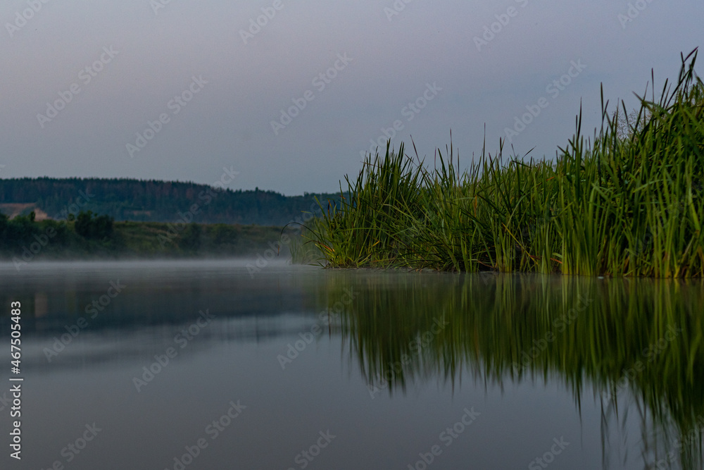 View of the river and reeds, cliff and forest in the background. Photo at the surface of the water, in a small reed pool. Rest, on the river, somewhere in Russia. View of the river and reeds, cliff and forest in the background. Photo at the surface of the water, in a small reed pool. Rest, on the river, somewhere in Russia.