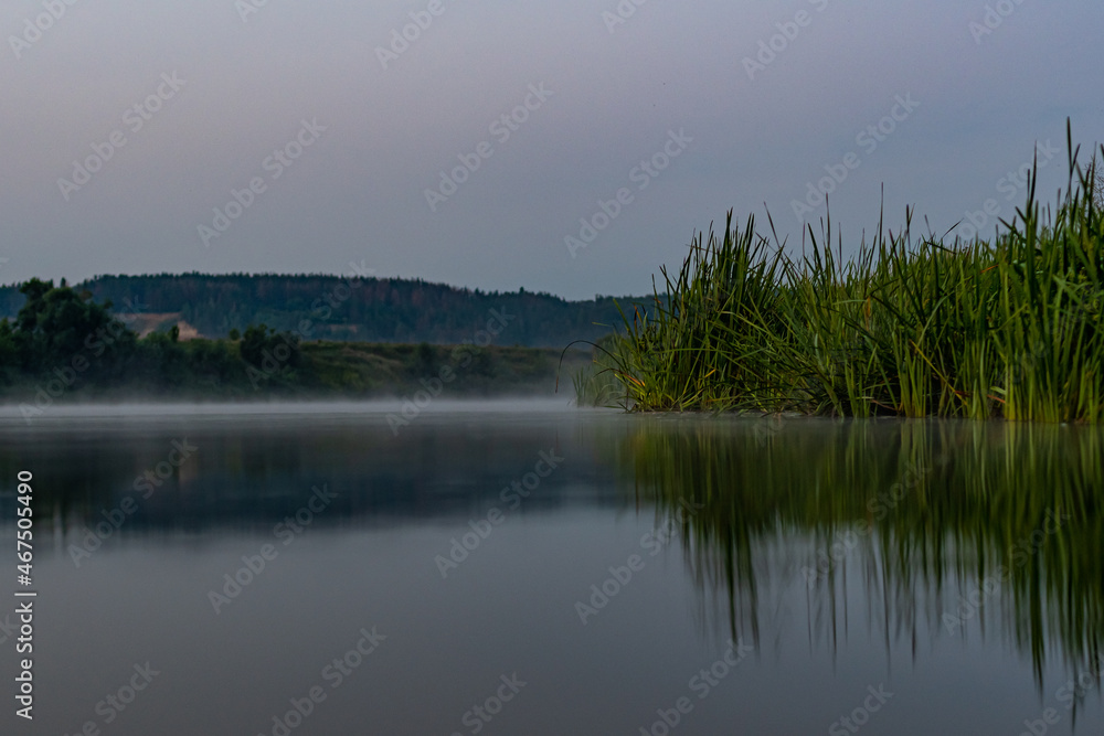 Photo from the water, to the shore line on the river. Photo of thickets on the banks of the Don River, in Russia. Photo above the water, with remnants of the morning haze.