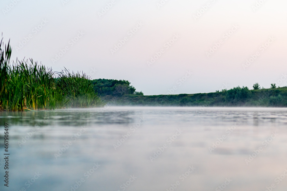 A fast river, with a haze of fog near the water and juicy green reeds near the shore. View from the surface of the water, on a fast river and thickets of reeds near the shore. A fast river, with a haze of fog near the water and juicy green reeds near the shore. View from the surface of the water, on a fast river and thickets of reeds near the shore.