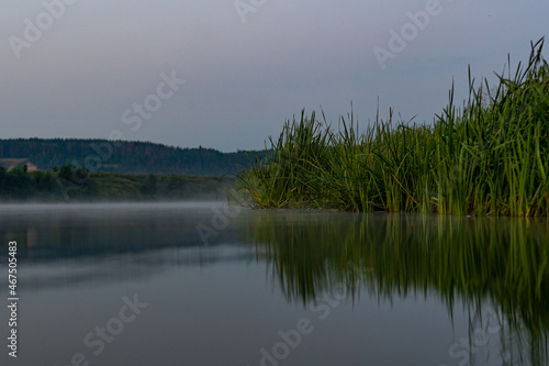 View of the river and reeds, cliff and forest in the background. Photo at the surface of the water, in a small reed pool. Rest, on the river, somewhere in Russia.