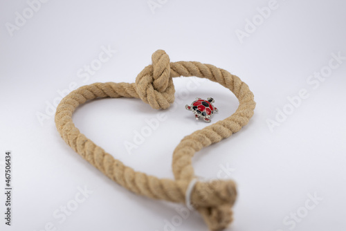 A rope with a knot tied in the shape of a heart with a small red turtle broach photo