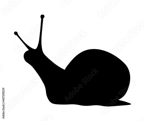 black silhouette of a snail