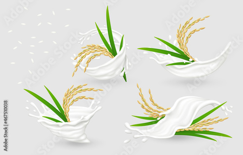 Milk splashes with ripe ears of rice, white grains isolated on gray background. Realistic vector illustration.