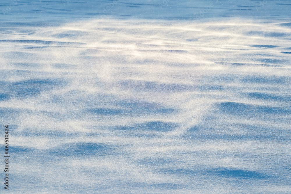 The undulating surface of the earth is covered with snow in the rays of the morning sun in strong winds The undulating surface of the earth is covered with snow in the rays of the morning sun in strong winds