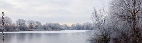 Vászonkép Frost-covered trees on the banks of an ice-bound river in the morning during sun