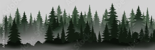 Beautiful forest. Realistic isolated vector. Landscape trees in mist design. Mystery fog concept. Natural beauty. Forest trees. © Tati. Dsgn