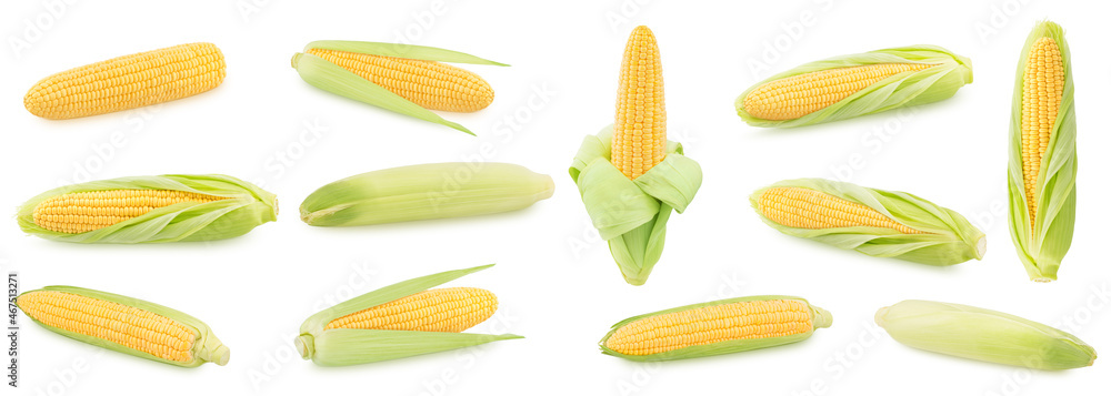 Large set of fresh whole corn cobs isolated on a white background. Large set of fresh whole corn cobs isolated on a white background.
