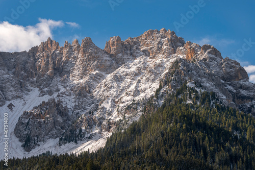 trees, mountain paths under the first snow on the lake of carezza in trentino alto adige in italy