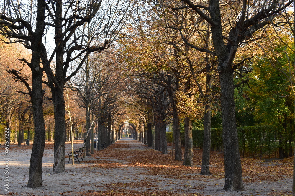 autumn in the park