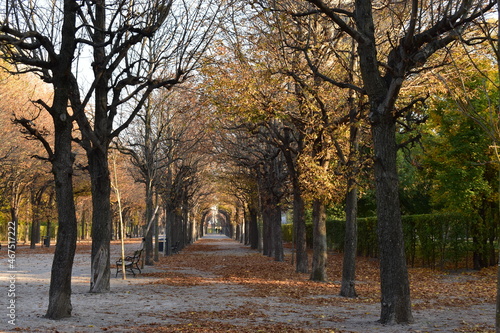 autumn in the park