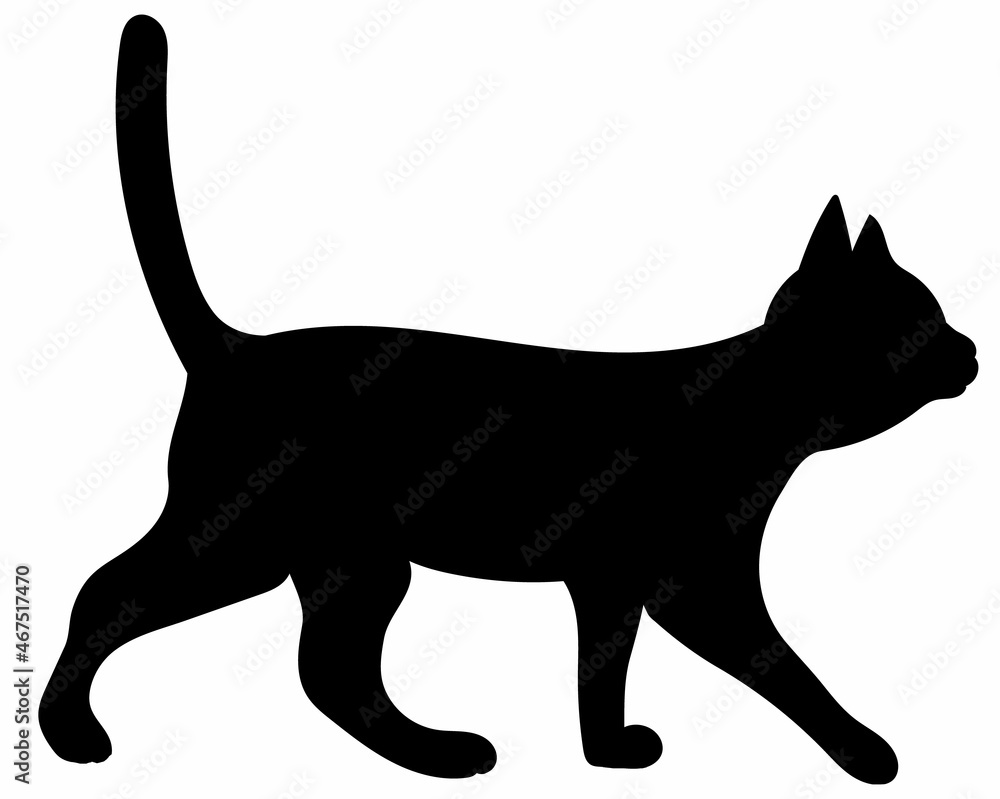 cat black silhouette on white background cat black silhouette on white background