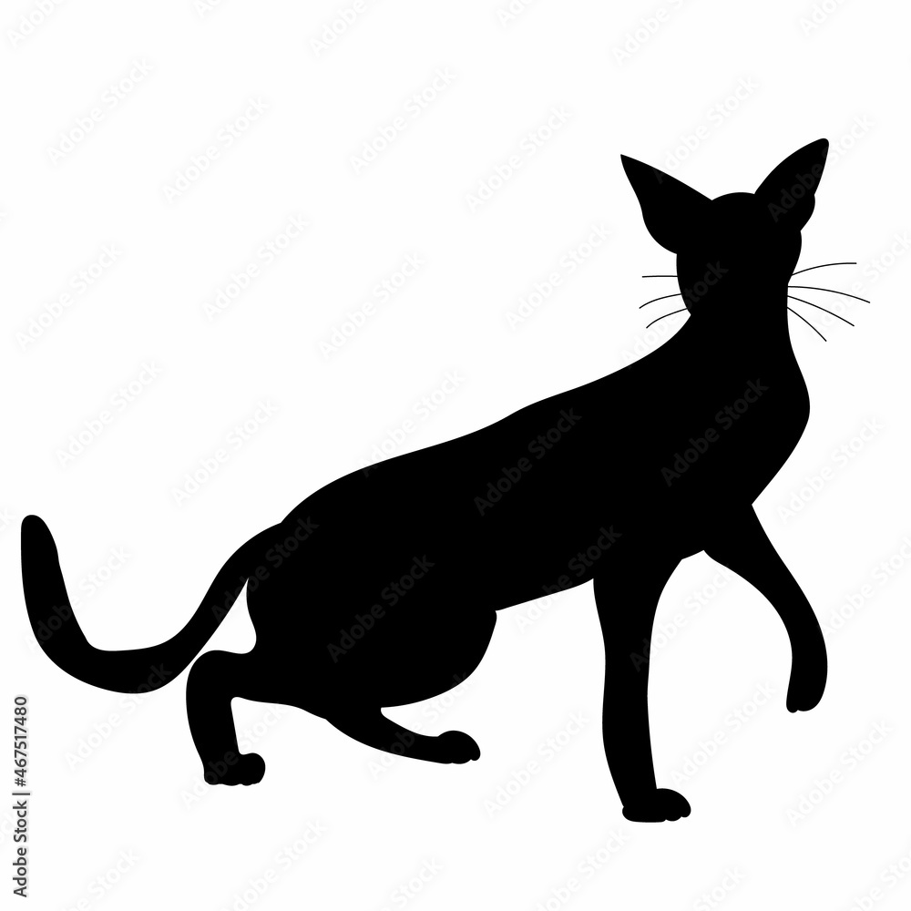 cat black silhouette isolated, vector, on white background
