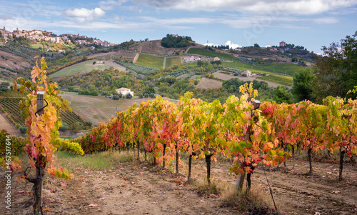 Vineyards and winery among hills, countryside landscape