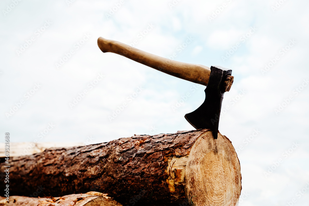 Ax on a sawn tree trunk. Log processing with hand tools. Deforestation of natural forests by illegal loggers. Close-up Ax on a sawn tree trunk. Log processing with hand tools. Deforestation of natural forests by illegal loggers. Close-up