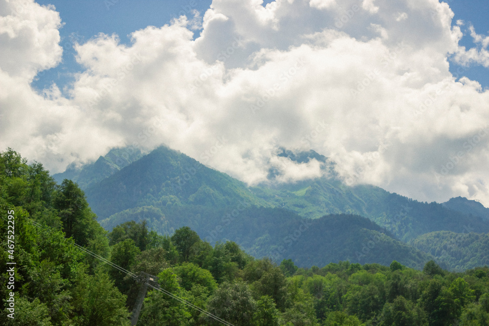 mountain forests shrouded in clouds mountain forests shrouded in clouds