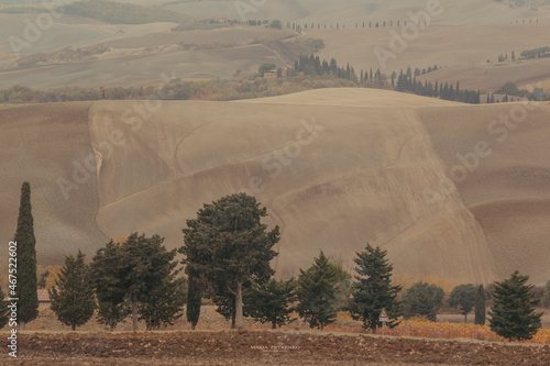 landscape in region Toscana
