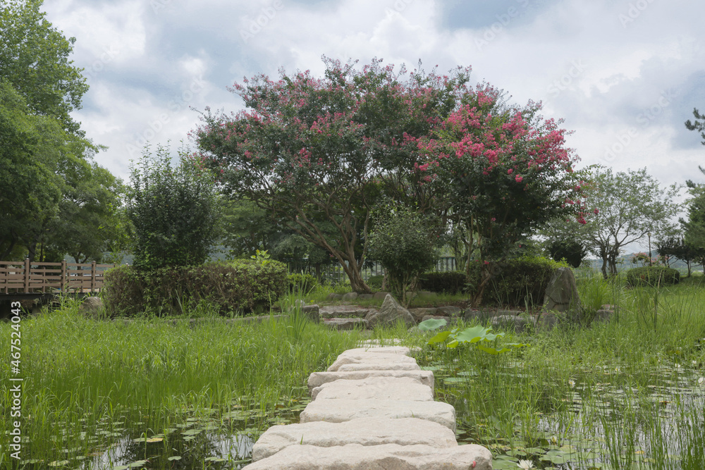 custom made wallpaper toronto digital배롱꽃이핀섬