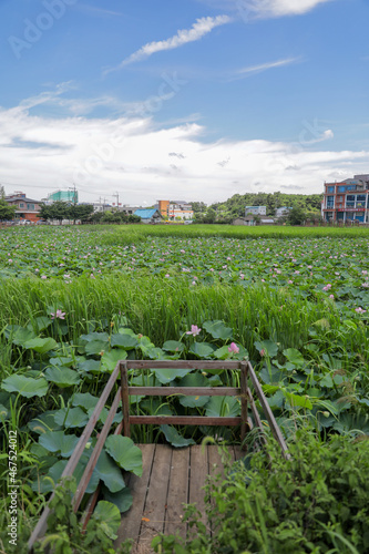 Wallpaper Mural 한걸음더 Torontodigital.ca