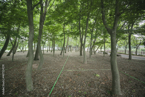 Wallpaper Mural 자리선점 Torontodigital.ca