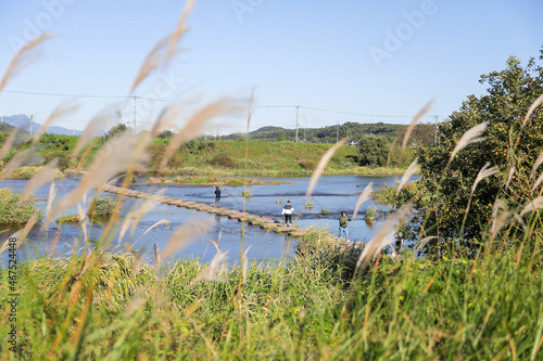 Wallpaper Mural 억세너머로보이는징검다리 Torontodigital.ca