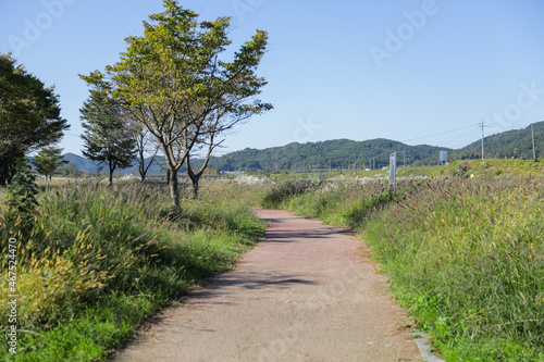 산책로