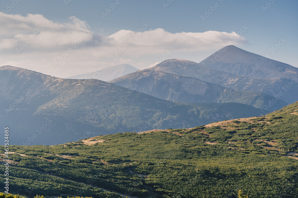 Chornogora ridge. Sunny autumn day in the mountains. Ukrainian Carpathian mountains.