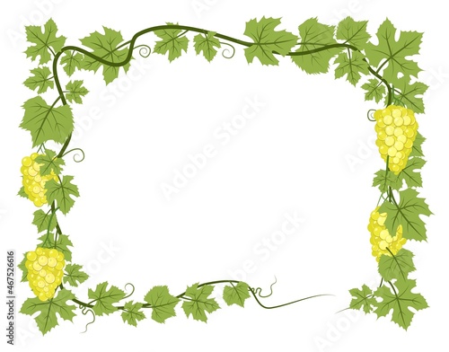 Rectangular Frame. Vine with foliage and bunches of grapes. Viticulture and farming. Branches with berries on a dense bush. Young vineyard. Sweet autumn harvest. Isolated on white background. Vector.