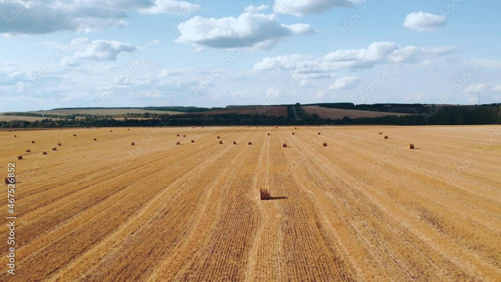 Aerial photography of wheat fields with haystacks Aerial photography of wheat fields with haystacks