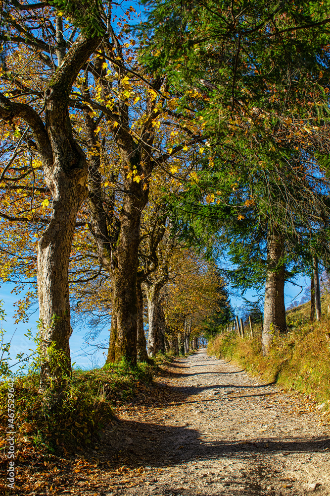 A beautiful path in a meadow over Schliersee lake during Fall. German Alps, Bavaria, Germany