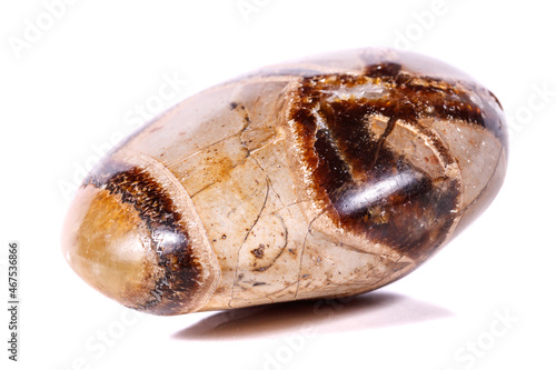 Macro mineral stone Simbirzit and Septaria on white background photo