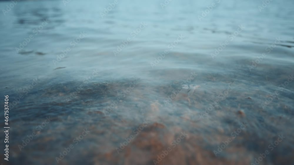Transparent Lake on a Summer Day, the Bottom and Algae are Visible. Reflection in Lake. Glare of Sunlight on the Surface of the Water. Close Up Transparent Lake on a Summer Day, the Bottom and Algae are Visible. Reflection in Lake. Glare of Sunlight on the Surface of the Water. Close Up