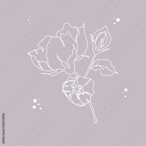 flower branch with leaves and unopened bud isolated vector background