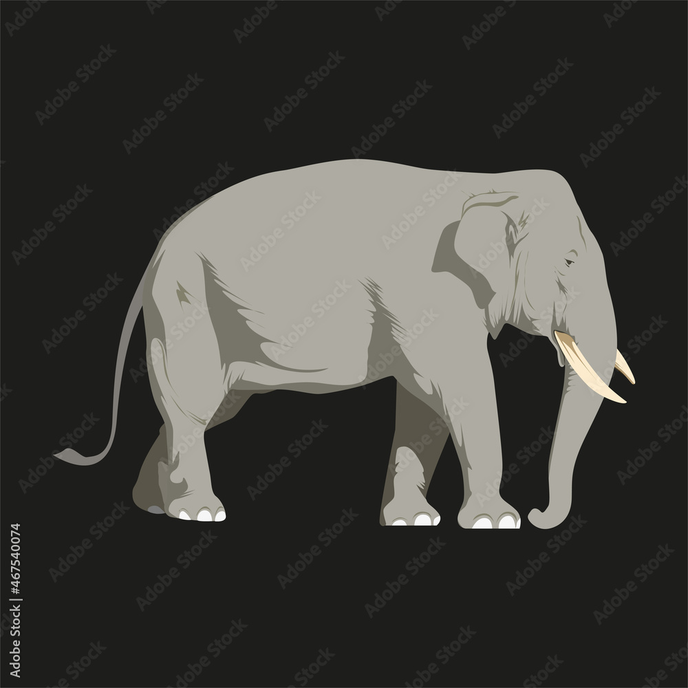 Obraz premium Elephant standing illustration. Mammals. Giant Animals. Sumatera Elephant. Infographic Animal. Vector Art.
