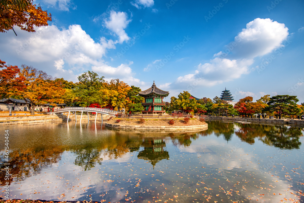 autumn in the park at Gyeongbokgung palace, Seoul South Korea.