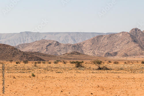 landscape in park